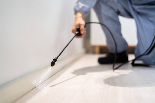 Professional exterminator conducting IPM assessment in Hurt
